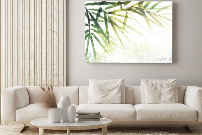 Obraz: Bambusy las lub bambusowe liście, światło słoneczne i miejsce