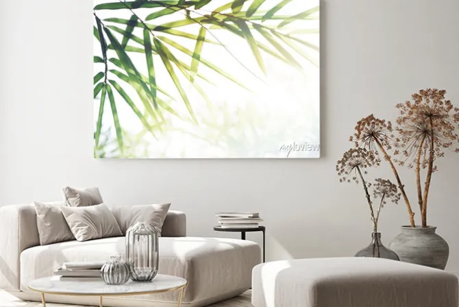 Obraz: Bambusy las lub bambusowe liście, światło słoneczne i miejsce