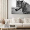 Obraz: Belgijski koń w polu trawy w czerni i bieli