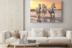Obraz: Białe konie nad brzegiem morza o zachodzie słońca