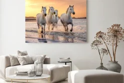 Obraz: Białe konie nad brzegiem morza o zachodzie słońca