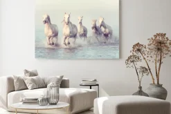 Obraz: Białe konie w galopie na morzu