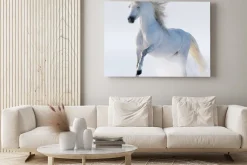 Obraz: Biały koń galopujący po śniegu
