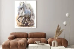 Obraz: Biały koń galopujący w piasku