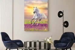 Obraz: Biały koń na wrzosowisku