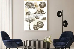 Obraz: Brazylijski nakrętki zestaw szkiców wektorowych na abstrakcyjnym