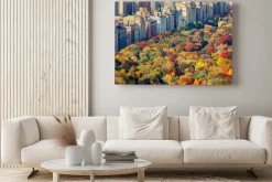 Obraz: Brilliant kolory spadek liści w central parku późnym popołudniem.