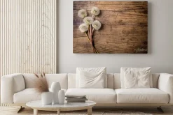 Obraz: Bukiet białych mlecze na drewnianym stole