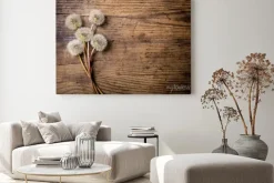 Obraz: Bukiet białych mlecze na drewnianym stole