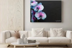 Obraz: Bukiet fioletowych storczyków