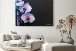 Obraz: Bukiet fioletowych storczyków