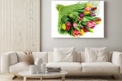 Obraz: Bukiet z 25 kolorowych tulipanów, odizolowane na białym tle