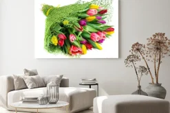 Obraz: Bukiet z 25 kolorowych tulipanów, odizolowane na białym tle