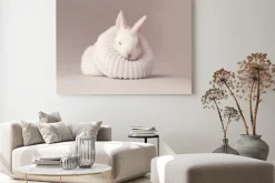 Obraz: Bunny in a sock