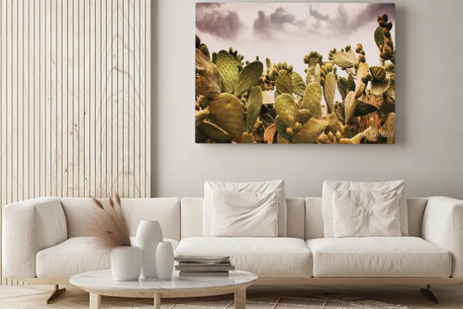 Obraz: Cacti flowers nature and flower background