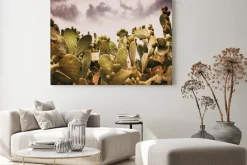 Obraz: Cacti flowers nature and flower background