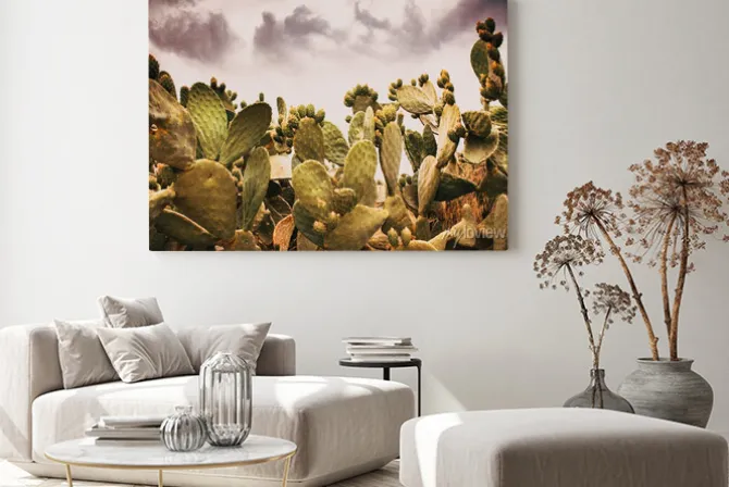 Obraz: Cacti flowers nature and flower background