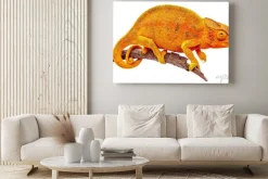 Obraz: Caméléon sur branche sèche, lubiący blanc