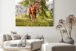 Obraz: Cavallo pascolo