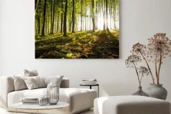 Obraz: Charakter. zachód słońca w lesie