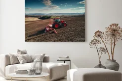 Obraz: Ciągnik podczas żniw