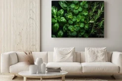 Obraz: Close view on fresh herbs bunch