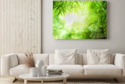 Obraz: Closeup beautiful view of nature green bamboo leaf on greenery