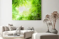 Obraz: Closeup beautiful view of nature green bamboo leaf on greenery