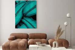 Obraz: Closeup nature view of tropical leaf, dark wallpaper concept,