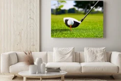 Obraz: Closeup of golfball on tee for first stroke