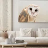 Obraz: Common barn owl (tyto albahead) bliska