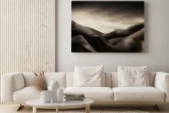 Obraz: Corpi di nudo artistico