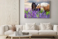 Obraz: Cremello and bay horse in flowers