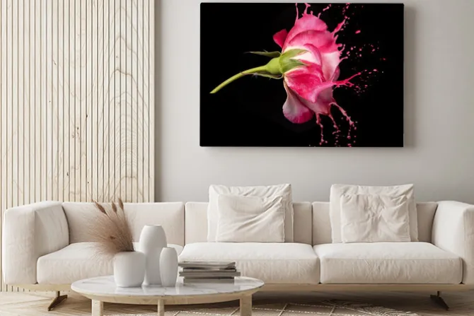 Obraz: Czerwona róża plamy