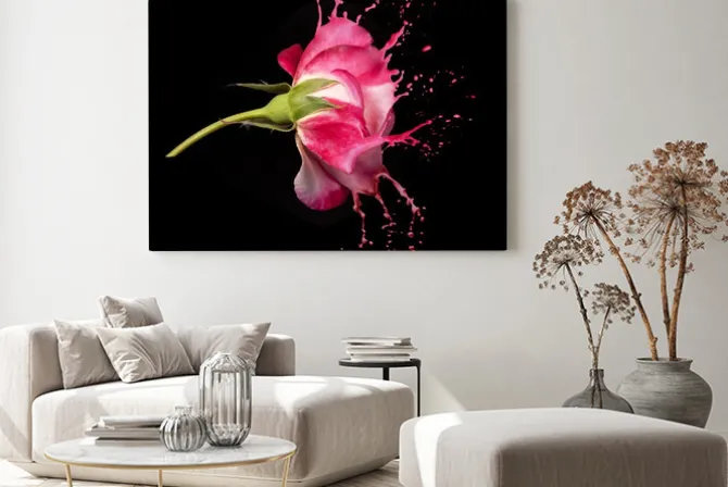 Obraz: Czerwona róża plamy