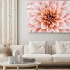 Obraz: Defocused pastel, peach, coral dahlia petals macro, floral abstract