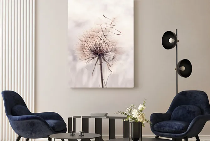 Obraz: Dmuchawiec na wietrze