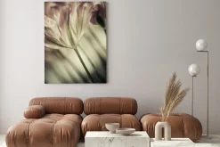 Obraz: Fine art tulipany zbliżenie, niewyraźne i ostre