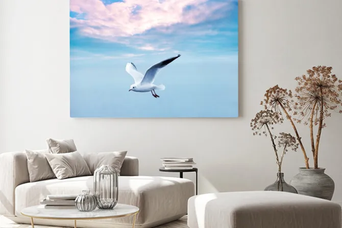 Obraz: Frajer rosnących przed chmurami niebo