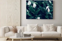 Obraz: Full frame of green leaves pattern background, nature lush foliage