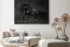 Obraz: Galopujący czarny koń