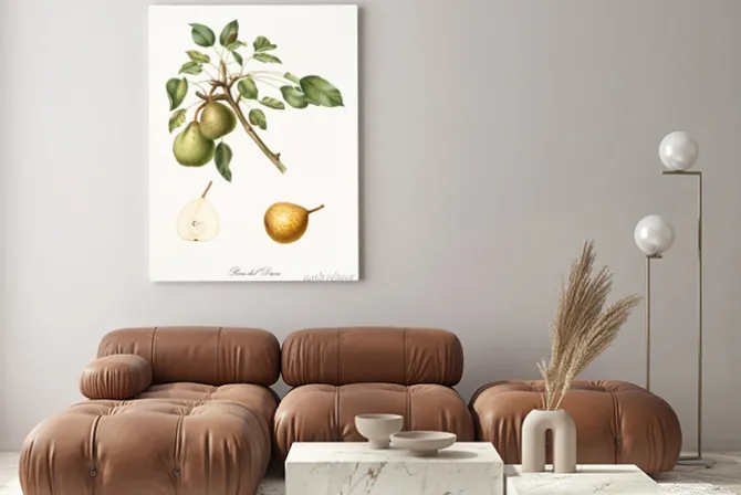 Obraz: Gruszka, zwany gruszka księcia, na jednej gałęzi z liśćmi i pojedyncze