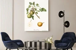 Obraz: Gruszka, zwany gruszka księcia, na jednej gałęzi z liśćmi i pojedyncze