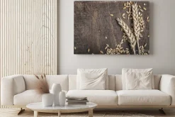 Obraz: Kłosy pszenicy