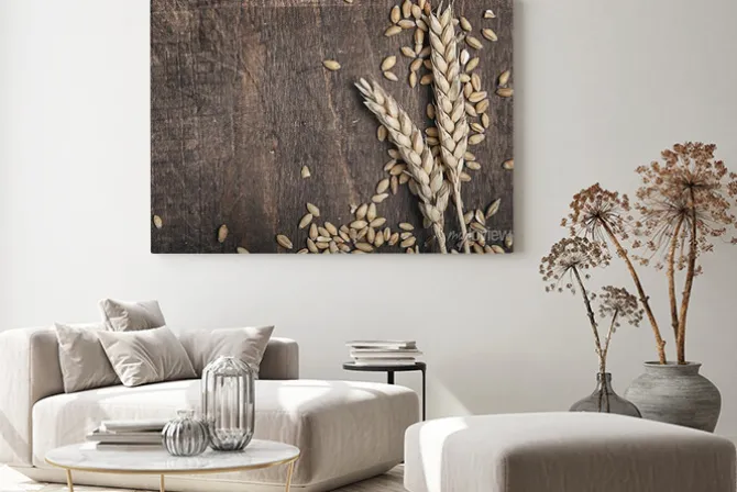 Obraz: Kłosy pszenicy