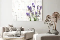 Obraz: Kwiaty lawendy