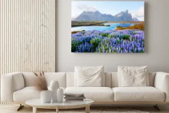 Obraz: Kwiaty łubinu na tle gór i jeziora