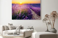 Obraz: Lawendowe pole o zachodzie słońca
