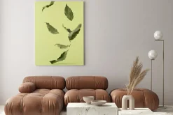 Obraz: Levitating laurel leaves on a green background