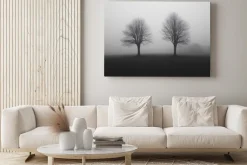 Obraz: Mglista sceneria z drzewami czarno biały pejzaż natury